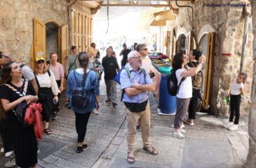 Human Rights Summer Program 2025 in Palestine