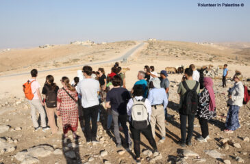 How to Help Masafer Yatta?